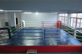 安徽不倒翁拳击沙袋及散打台购买指南 品牌、厂家与价格全解析